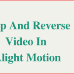 How To Crop and Reverse Videos In Alight Motion